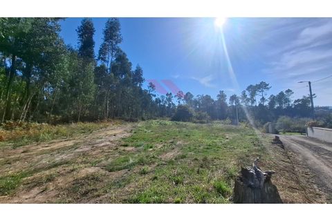 Helårsgrund i Ponte de Lima, Viana do Castelo, Ponte de Lima - € 76.000 | Ref: PTL-1239-AB-1025 - foto 3