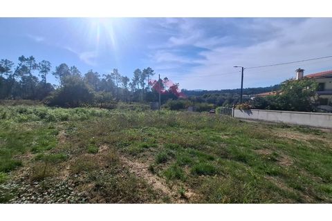 Helårsgrund i Ponte de Lima, Viana do Castelo, Ponte de Lima - € 76.000 | Ref: PTL-1239-AB-1025 - foto 4