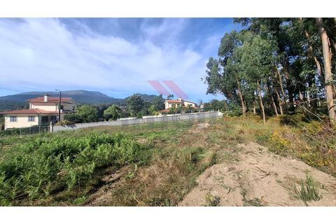 Helårsgrund i Ponte de Lima, Viana do Castelo, Ponte de Lima - € 76.000 | Ref: PTL-1239-AB-1025 - foto 6