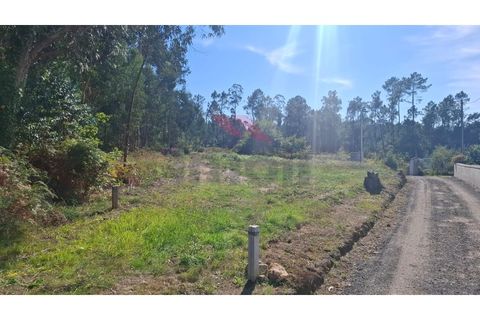 Helårsgrund i Ponte de Lima, Viana do Castelo, Ponte de Lima - € 76.000 | Ref: PTL-1239-AB-1025 - foto 7