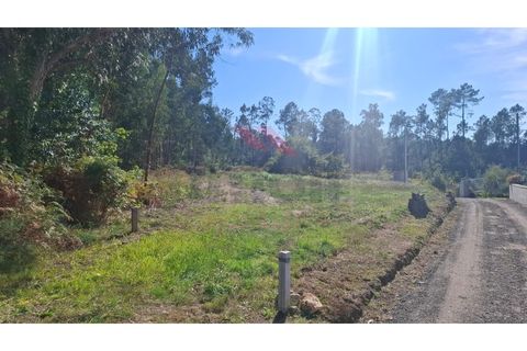Helårsgrund i Ponte de Lima, Viana do Castelo, Ponte de Lima - € 76.000 | Ref: PTL-1239-AB-1025 - foto 8