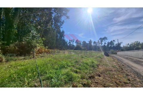 Helårsgrund i Ponte de Lima, Viana do Castelo, Ponte de Lima - € 76.000 | Ref: PTL-1239-AB-1025 - foto 9