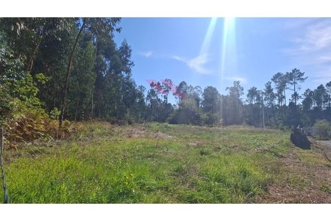 Helårsgrund i Ponte de Lima, Viana do Castelo, Ponte de Lima - € 76.000 | Ref: PTL-1239-AB-1025 - foto 10