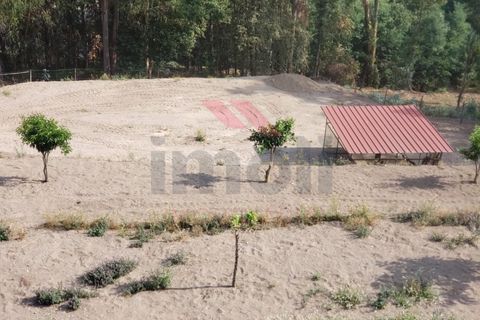 Villa i Ponte de Lima, Viana do Castelo, Ponte de Lima - € 380.000 | Ref: PTL-1238-MC-1025 - foto 8