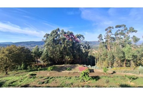 Villa i Ponte de Lima, Viana do Castelo, Ponte de Lima - € 380.000 | Ref: PTL-1238-MC-1025 - foto 26