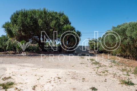 Villa i Alcobaca, Leiria, Alcobaca - € 690.000 | Ref: CAS_86 - foto 5