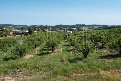 Villa i Alcobaca, Leiria, Alcobaca - € 690.000 | Ref: CAS_86 - foto 9