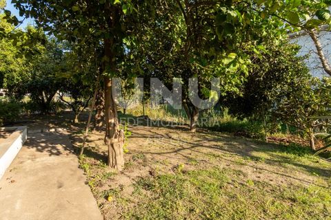 Villa i Arcos de Valdevez, Viana do Castelo, Arcos de Valdevez - € 525.000 | Ref: UNU.I.164.23362 - foto 37