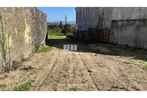 Helårsgrund i Viana do Castelo, Viana do Castelo, Viana do Castelo - € 65.000 | Ref: VCM14547 - foto 20