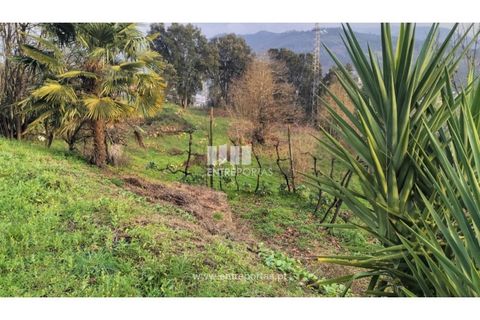 Villa i Torrados e Sousa, Porto, Torrados e Sousa - € 595.000 | Ref: MC09440 - foto 9