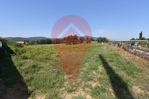 Helårsgrund i Valenca, Viana do Castelo, Valenca - € 110.000 | Ref: TER_0275 - foto 3