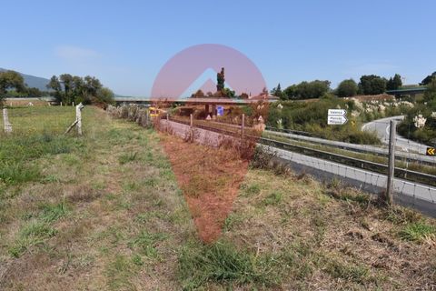 Helårsgrund i Valenca, Viana do Castelo, Valenca - € 110.000 | Ref: TER_0275 - foto 4