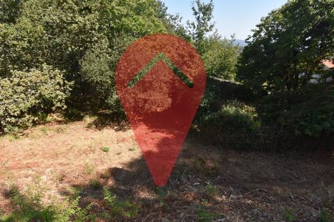 Ruin i Candemil e Gondar, Viana do Castelo, Candemil e Gondar - € 75 000 | Ref: RUÏ_288 - foto 4