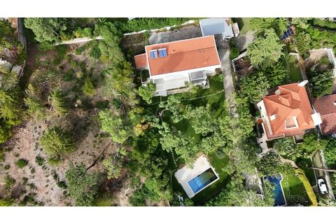 Villa a Cascais, Lisbon, Cascais - € 15.500/mes | Ref: WANTED_532 - foto 2
