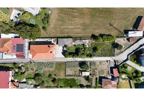 Villa i Joane, Braga, Joane - € 360.000 | Ref: L-MR-87-25 - foto 25