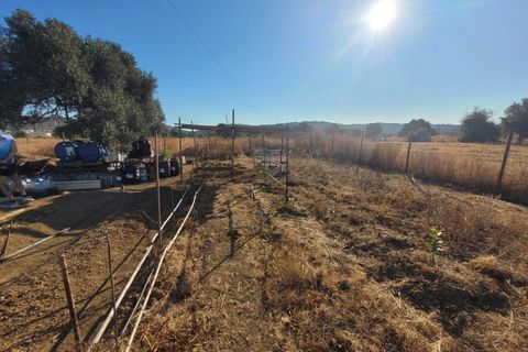 Helårsgrund i Algoz, Faro, Algoz - € 100.000 | Ref: KWPT-022188 - foto 12