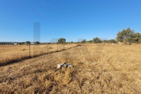 Helårsgrund i Algoz, Faro, Algoz - € 100.000 | Ref: KWPT-022188 - foto 15