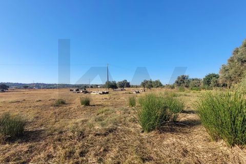 Helårsgrund i Algoz, Faro, Algoz - € 100.000 | Ref: KWPT-022188 - foto 21