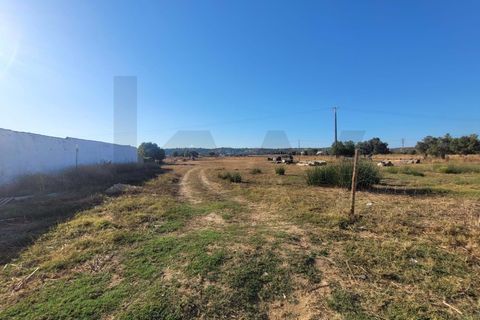 Helårsgrund i Algoz, Faro, Algoz - € 100.000 | Ref: KWPT-022188 - foto 22