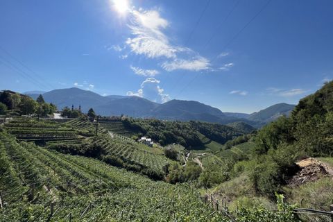 Villa i Cembra Lisignago, Trento, Cembra Lisignago - € 680.000 | Ref: 4385 - foto 43