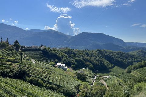 Villa i Cembra Lisignago, Trento, Cembra Lisignago - € 680.000 | Ref: 4385 - foto 44