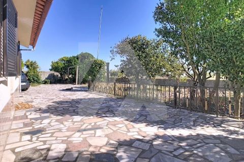 Byhus i Murtosa, Aveiro, Murtosa - € 350.000 | Ref: 102.1230 - foto 14