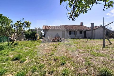 Byhus i Murtosa, Aveiro, Murtosa - € 350.000 | Ref: 102.1230 - foto 16
