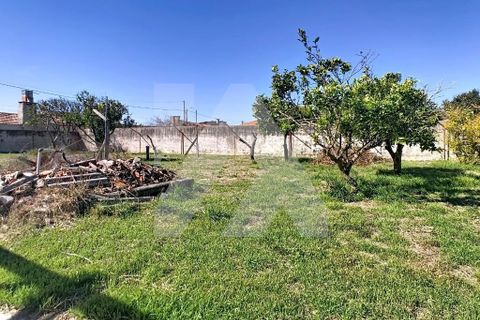Byhus i Murtosa, Aveiro, Murtosa - € 350.000 | Ref: 102.1230 - foto 17