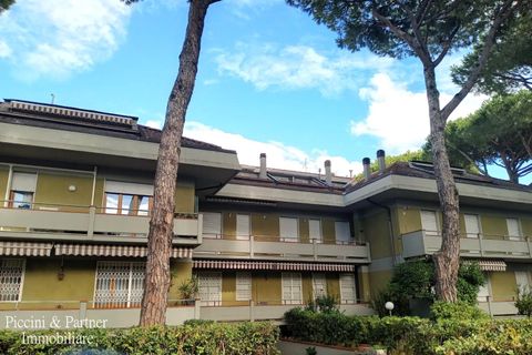 Apartament a Massa, Massa and Carrara, Massa - € 290.000 | Ref: MS03 - foto 50