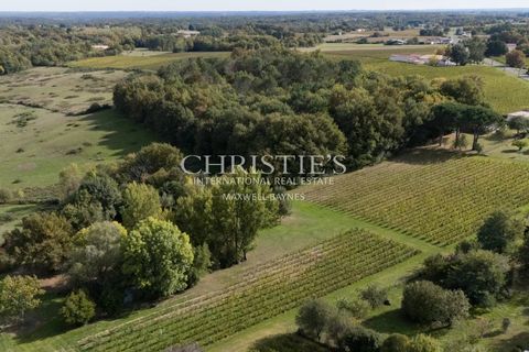 Landejendom i Libourne, Gironde, Libourne - € 3.250.000 | Ref: XR2020 - foto 9