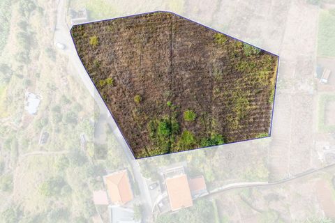 Helårsgrund i Calheta, Madeira, Calheta - € 800.000 | Ref: KWPT-022175 - foto 3