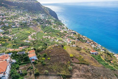 Helårsgrund i Calheta, Madeira, Calheta - € 800.000 | Ref: KWPT-022175 - foto 4