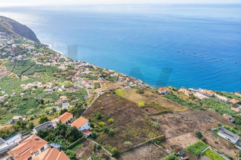 Helårsgrund i Calheta, Madeira, Calheta - € 800.000 | Ref: KWPT-022175 - foto 6