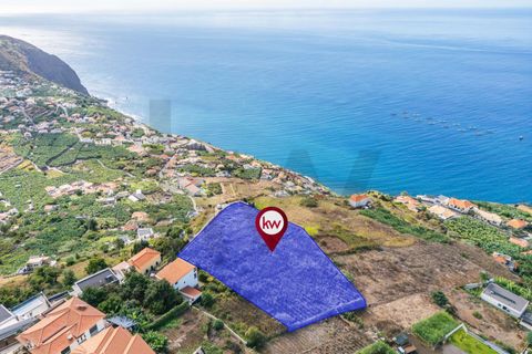 Helårsgrund i Calheta, Madeira, Calheta - € 800.000 | Ref: KWPT-022175 - foto 7