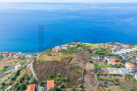 Helårsgrund i Calheta, Madeira, Calheta - € 800.000 | Ref: KWPT-022175 - foto 8
