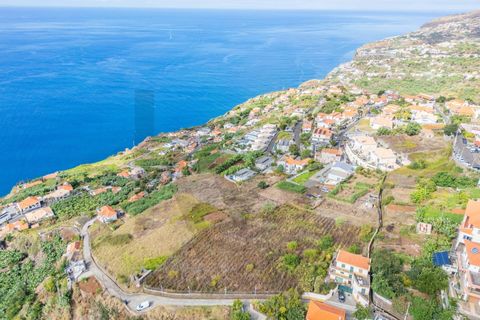 Helårsgrund i Calheta, Madeira, Calheta - € 800.000 | Ref: KWPT-022175 - foto 9