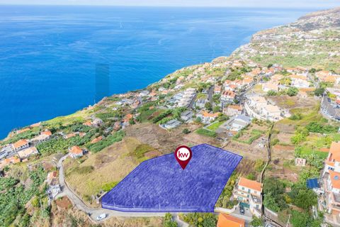 Helårsgrund i Calheta, Madeira, Calheta - € 800.000 | Ref: KWPT-022175 - foto 10