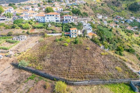 Helårsgrund i Calheta, Madeira, Calheta - € 800.000 | Ref: KWPT-022175 - foto 15