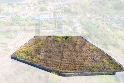 Helårsgrund i Calheta, Madeira, Calheta - € 800.000 | Ref: KWPT-022175 - foto 16