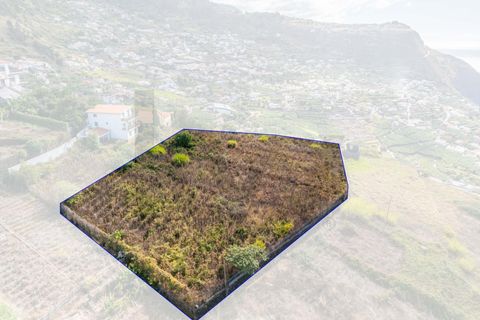 Helårsgrund i Calheta, Madeira, Calheta - € 800.000 | Ref: KWPT-022175 - foto 18