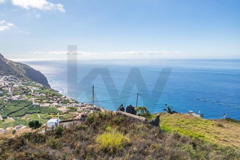 Helårsgrund i Calheta, Madeira, Calheta - € 800.000 | Ref: KWPT-022175 - foto 19