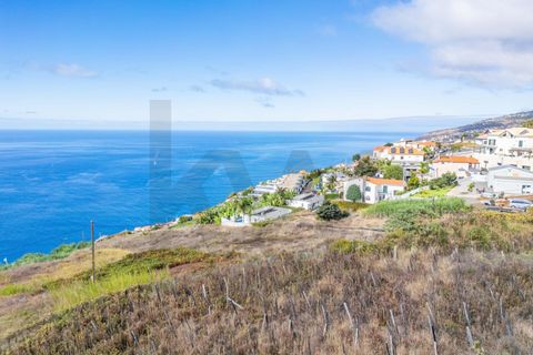 Helårsgrund i Calheta, Madeira, Calheta - € 800.000 | Ref: KWPT-022175 - foto 21