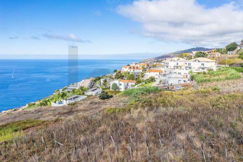 Helårsgrund i Calheta, Madeira, Calheta - € 800.000 | Ref: KWPT-022175 - foto 22