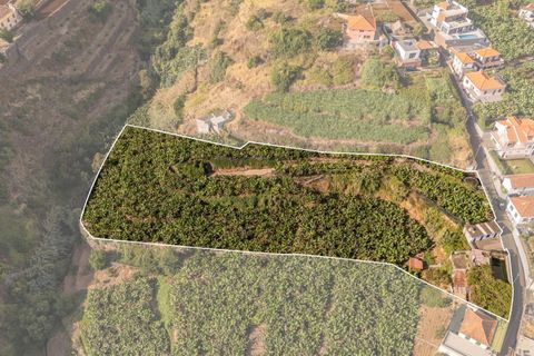 Helårsgrund i Ponta do Sol, Madeira, Ponta do Sol - € 470.000 | Ref: KWPT-022375 - foto 1