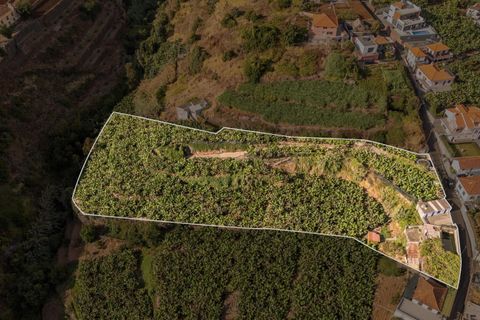 Helårsgrund i Ponta do Sol, Madeira, Ponta do Sol - € 470.000 | Ref: KWPT-022375 - foto 3
