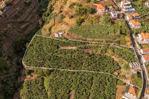 Helårsgrund i Ponta do Sol, Madeira, Ponta do Sol - € 470.000 | Ref: KWPT-022375 - foto 4