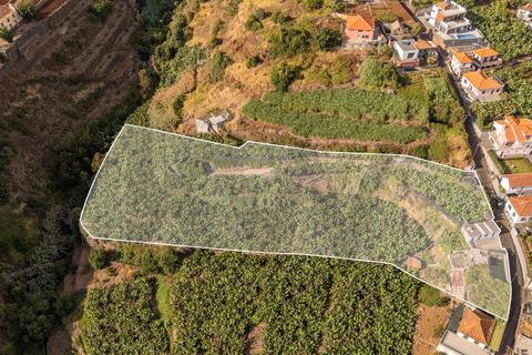 Helårsgrund i Ponta do Sol, Madeira, Ponta do Sol - € 470.000 | Ref: KWPT-022375 - foto 5