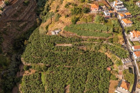 Helårsgrund i Ponta do Sol, Madeira, Ponta do Sol - € 470.000 | Ref: KWPT-022375 - foto 6