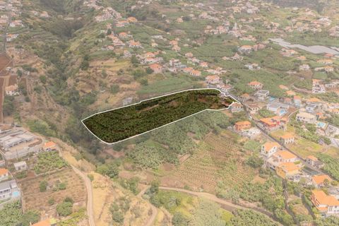 Helårsgrund i Ponta do Sol, Madeira, Ponta do Sol - € 470.000 | Ref: KWPT-022375 - foto 7