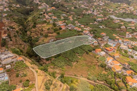 Helårsgrund i Ponta do Sol, Madeira, Ponta do Sol - € 470.000 | Ref: KWPT-022375 - foto 8